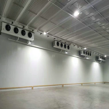 project case of Cold storage sandwich panels (1).jpg