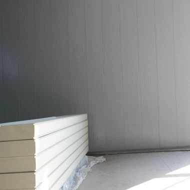 project case of Cold storage sandwich panels (10).JPG