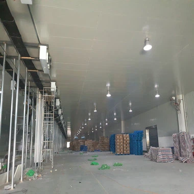 project case of Cold storage sandwich panels (23).jpg